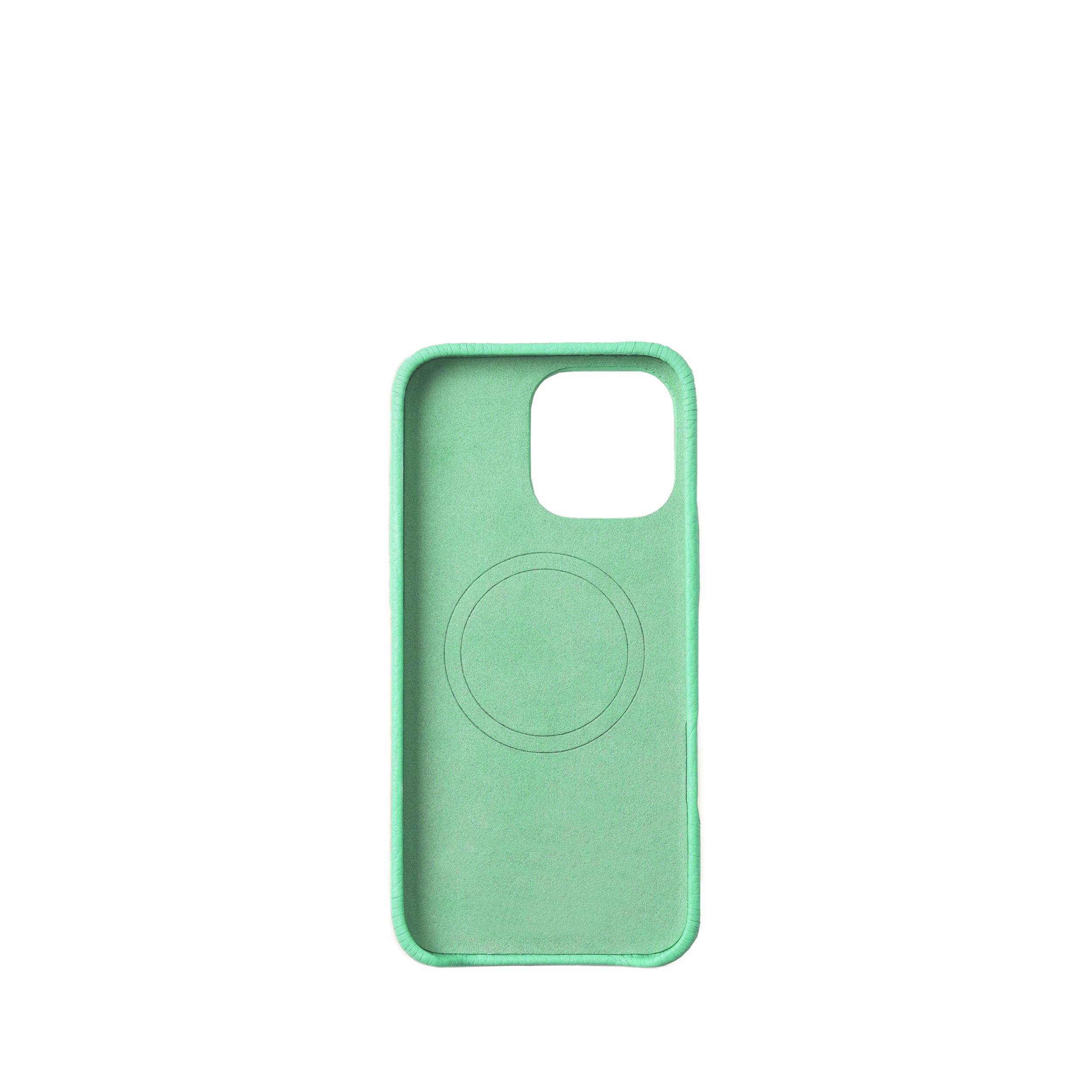 Pellipelli iPhone 16Pro/Pro max Series Button Version French Imported Leather Phone Case/Vert Melon