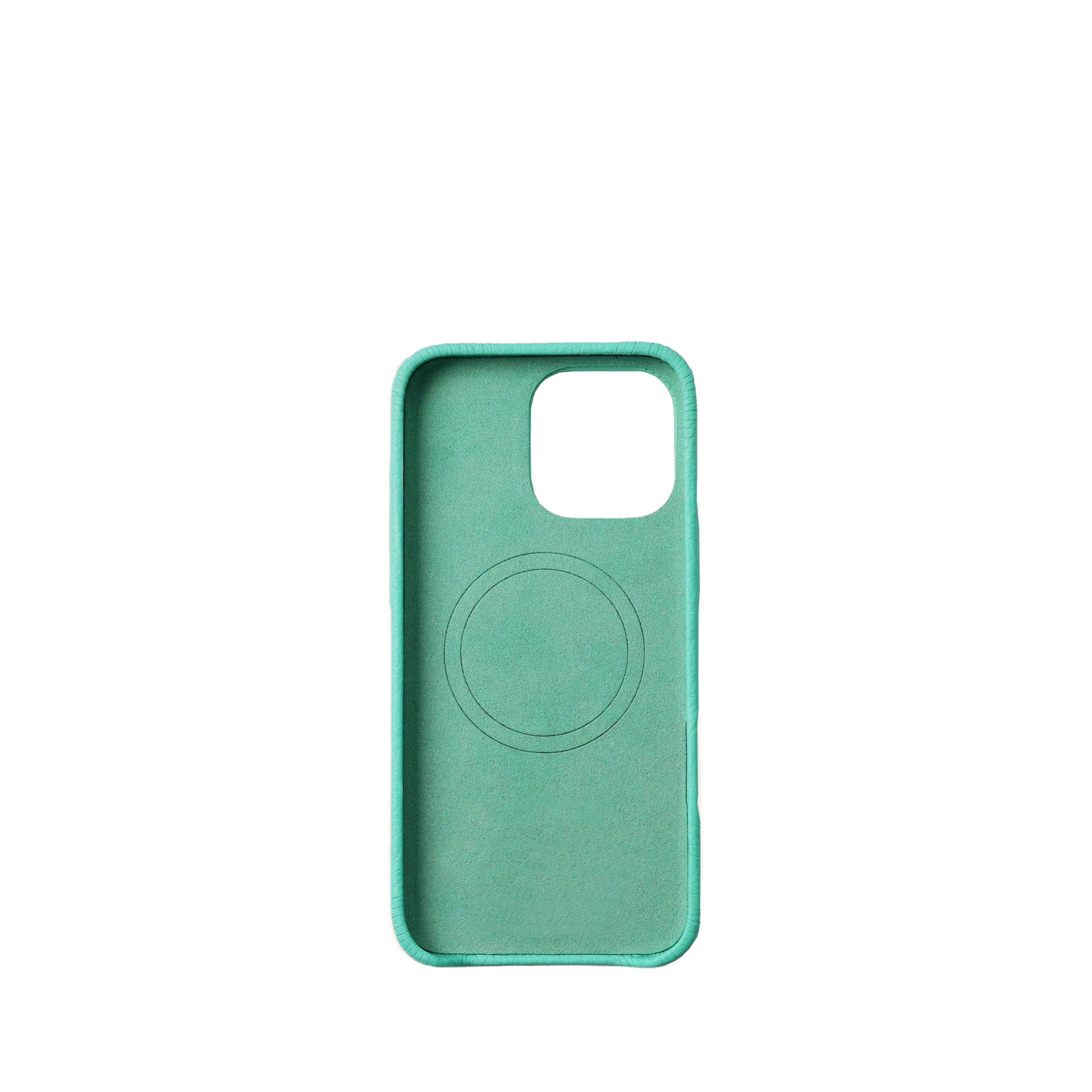 Pellipelli iPhone 16Pro/Pro max Series Button Version French Imported Leather Phone Case/Mint Green